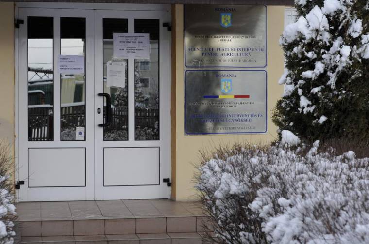 Nem tudott románul, ezért Budapestre küldték ügyintézésre