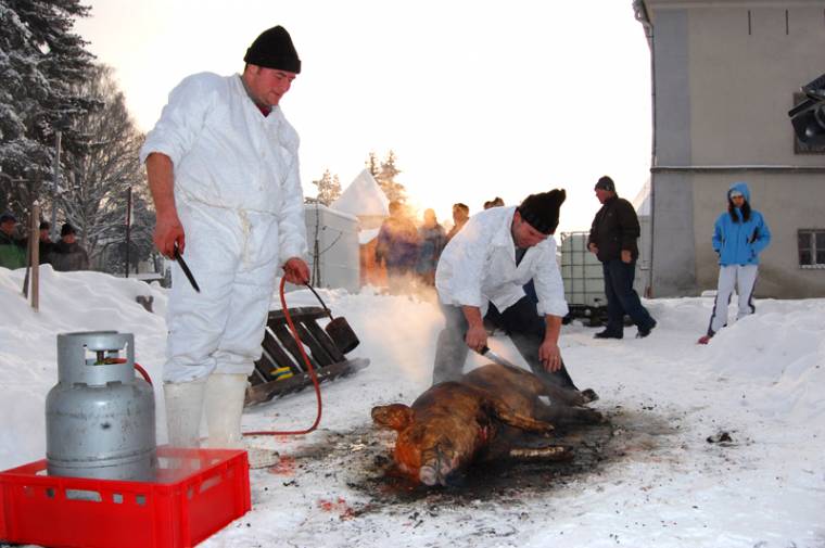 Szalmával perzselték a sertést