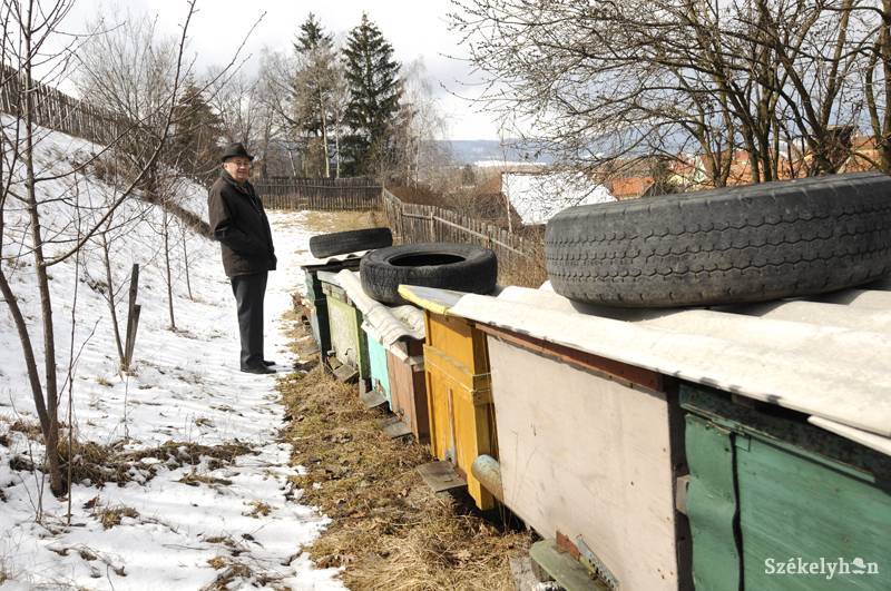 • Fotó: Kristo Robert