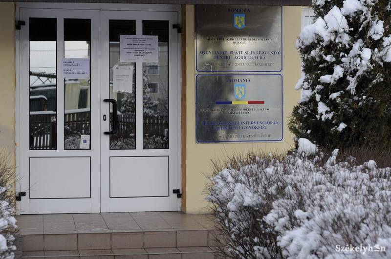 • Fotó: Kristo Robert