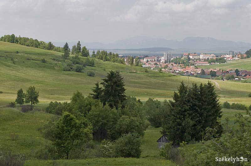 •  Fotó: Kristó Róbert