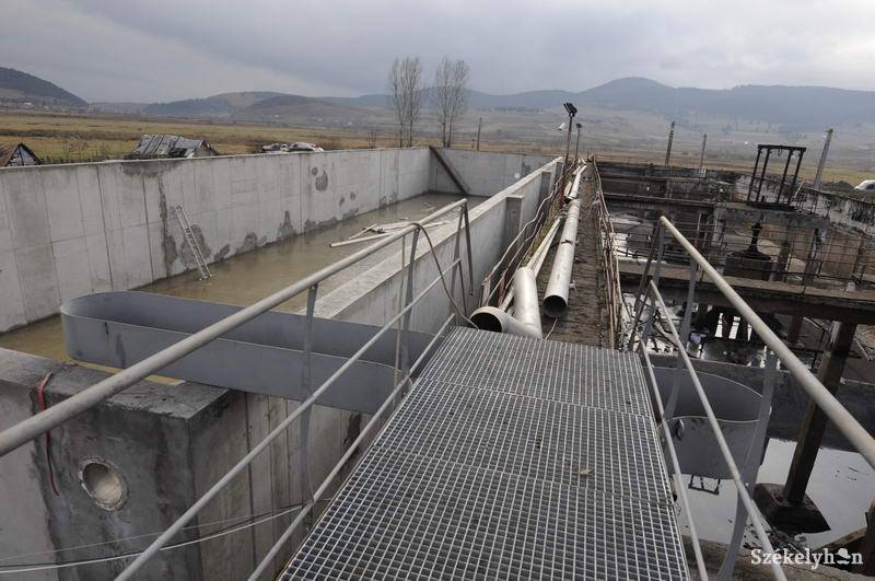 •  Fotó: Kristo Robert