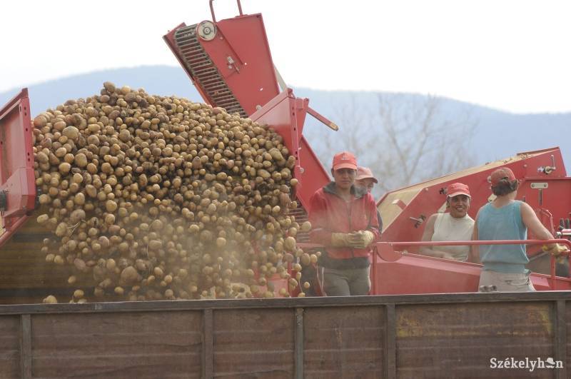 • Fotó: Kristó Róbert