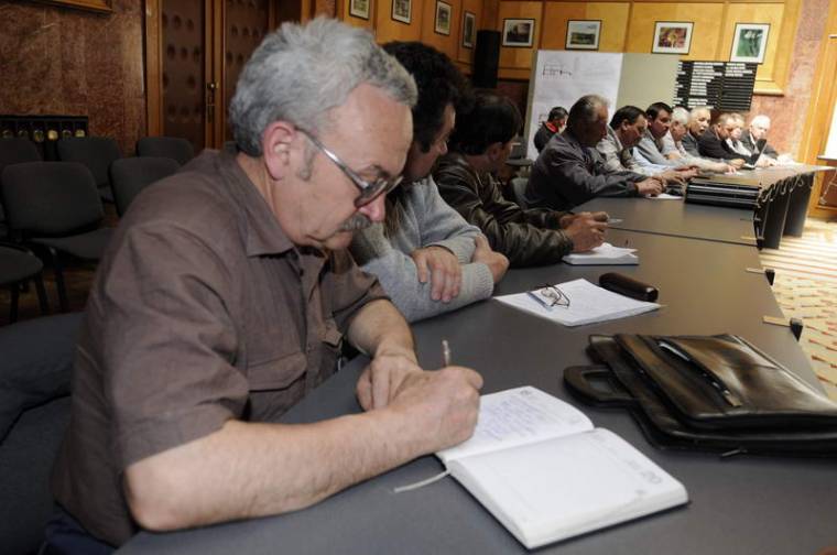 Lassan reménytelen helyzetben a szarvasmarha-tenyésztők