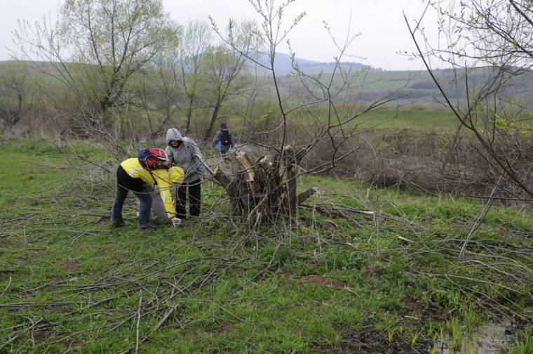 A tulajdonosoknak tisztán kell tartaniuk területeiket