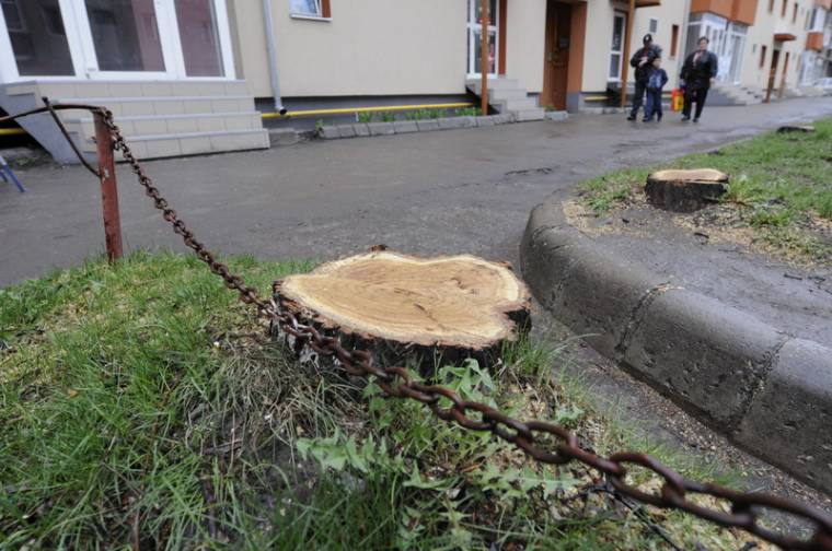 Parkolófelület a kivágott fák helyén