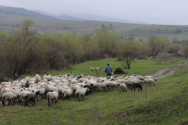 Szigorúan büntetik a hamis adatközlést