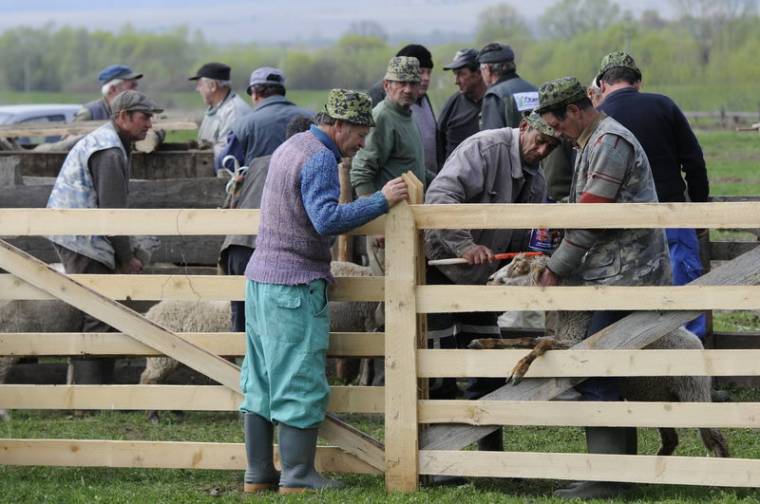 Legelőkre készülve