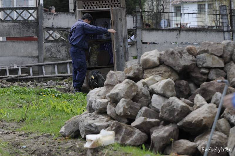 •  Fotó: Kristo Robert