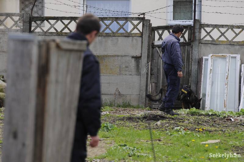 •  Fotó: Kristo Robert