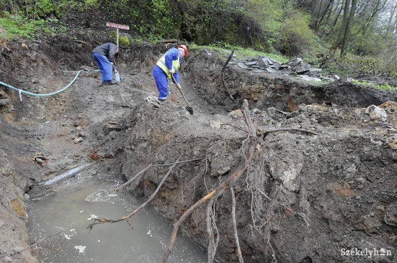 •  Fotó: Kristo Robert                       