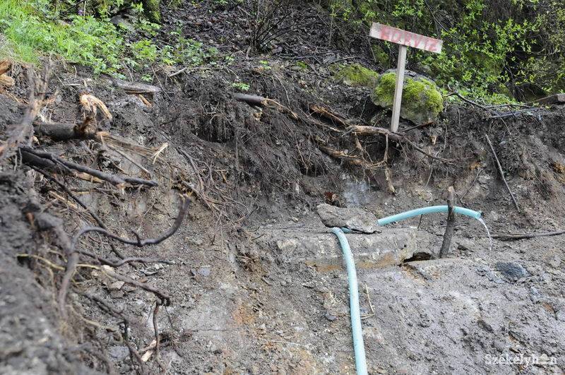 • Fotó: Kristo Robert