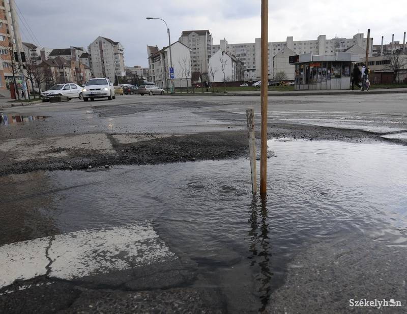 •  Fotó: Kristo Robert                       