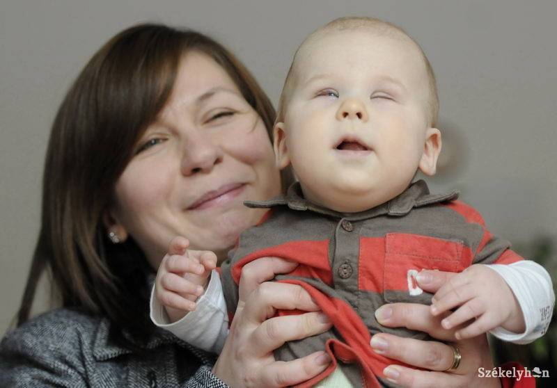 •  Fotó: Kristó Róbert