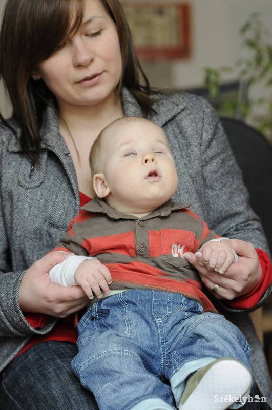 •  Fotó: Kristó Róbert