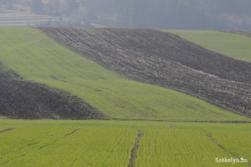 •  Fotó: Kristó Róbert