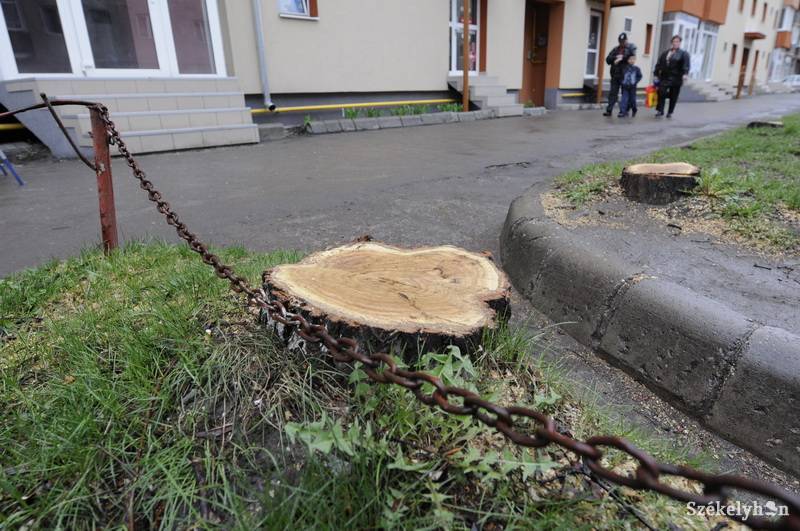 • Fotó: Kristo Robert