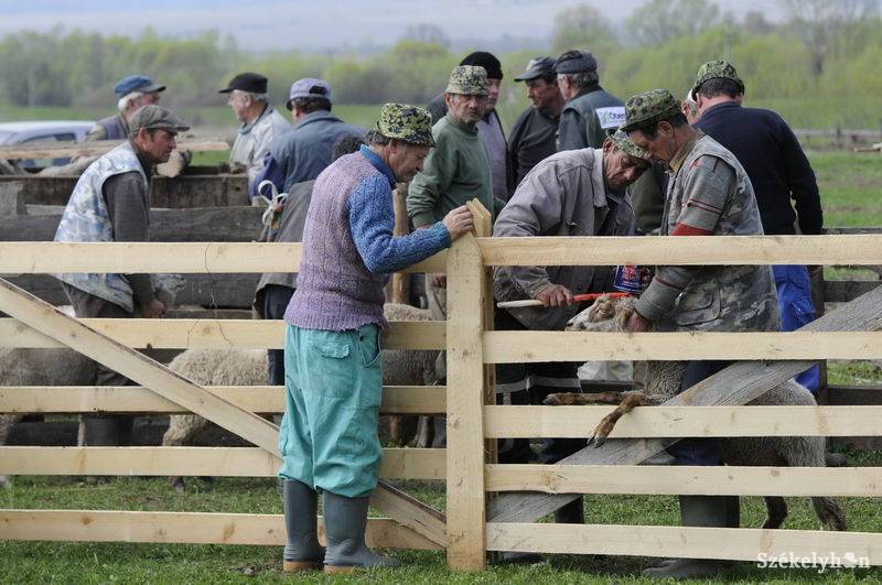 •  Fotó: Kristó Róbert