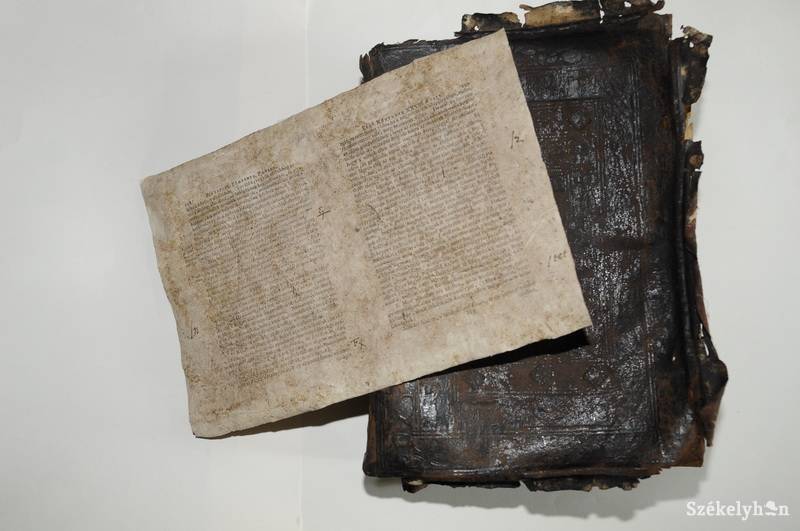 • Fotó: Kristo Robert