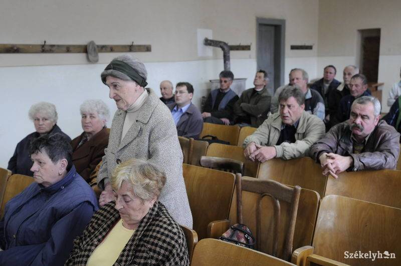 •  Fotó: Kristo Robert                       