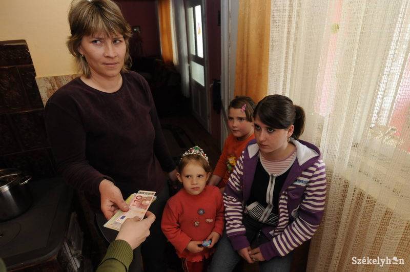 •  Fotó: Kristo Robert                       