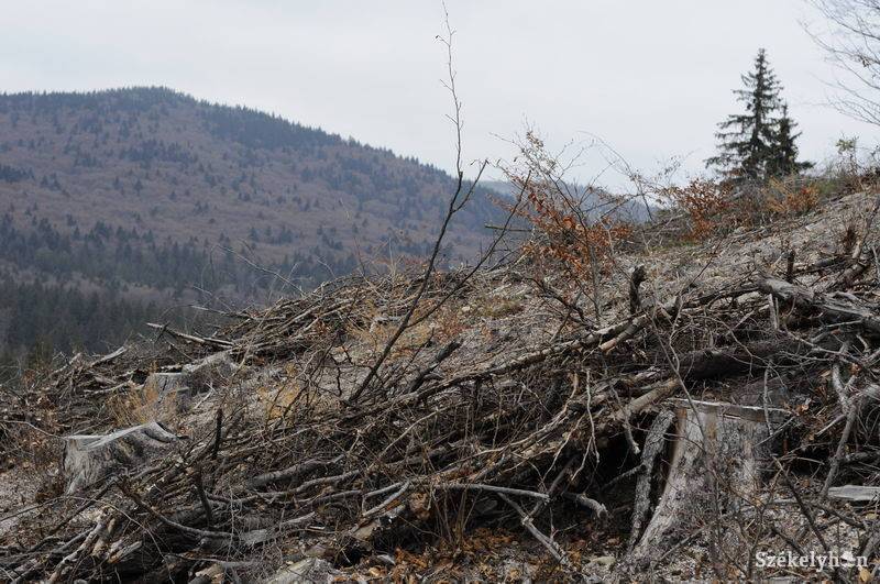 • Fotó: Kristo Robert