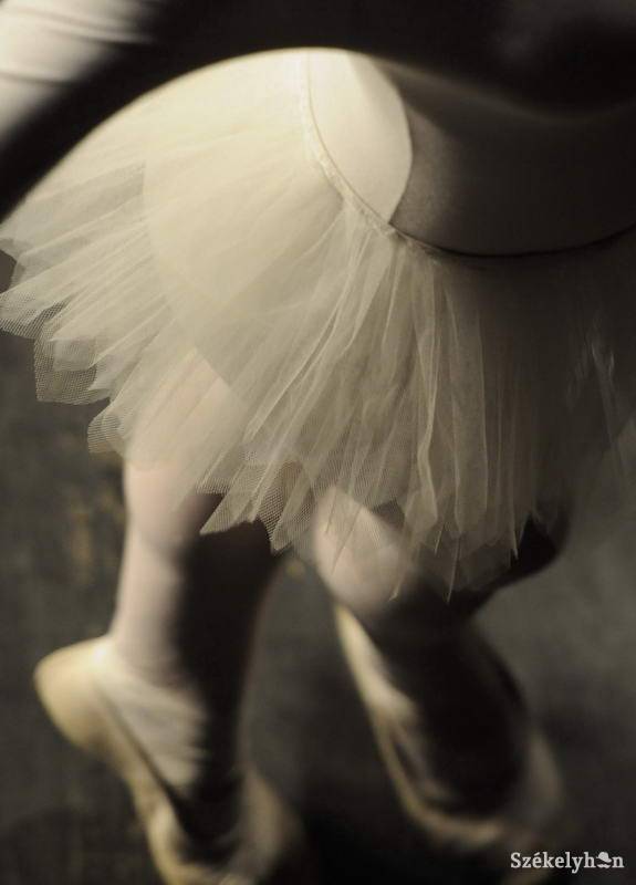 •  Fotó: Kristó Róbert