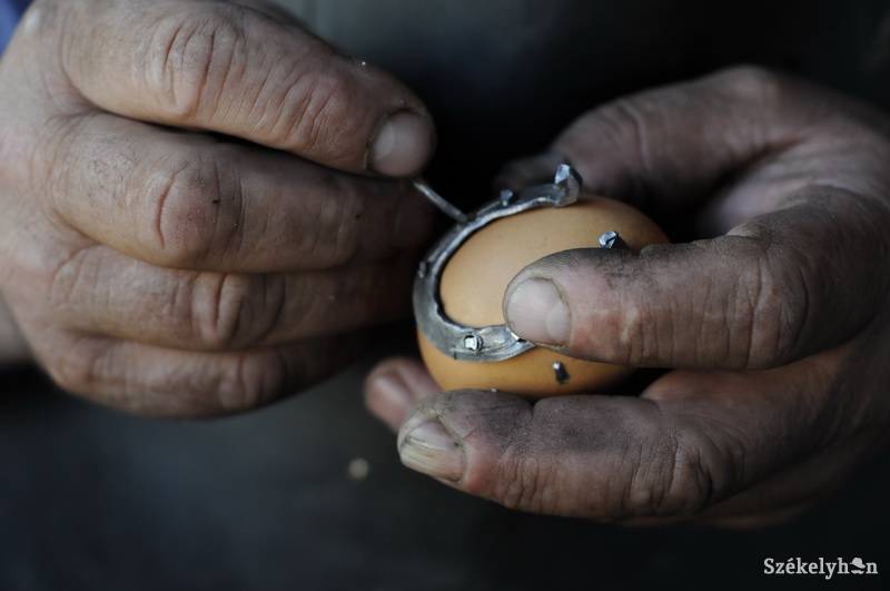 •  Fotó: Kristo Robert                       