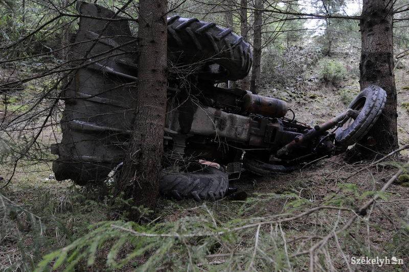 •  Fotó: Kristo Robert                       