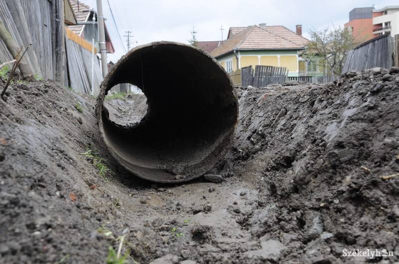 •  Fotó: Kristo Robert                       