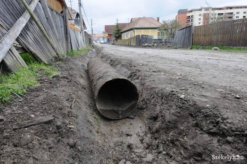 •  Fotó: Kristo Robert                       