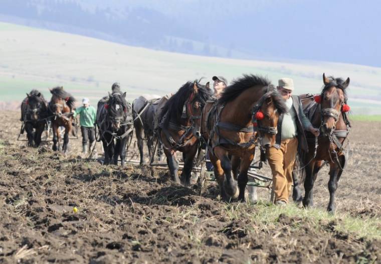 Megkapják az elmaradást, ám sokan vissza kell fizessék a támogatást