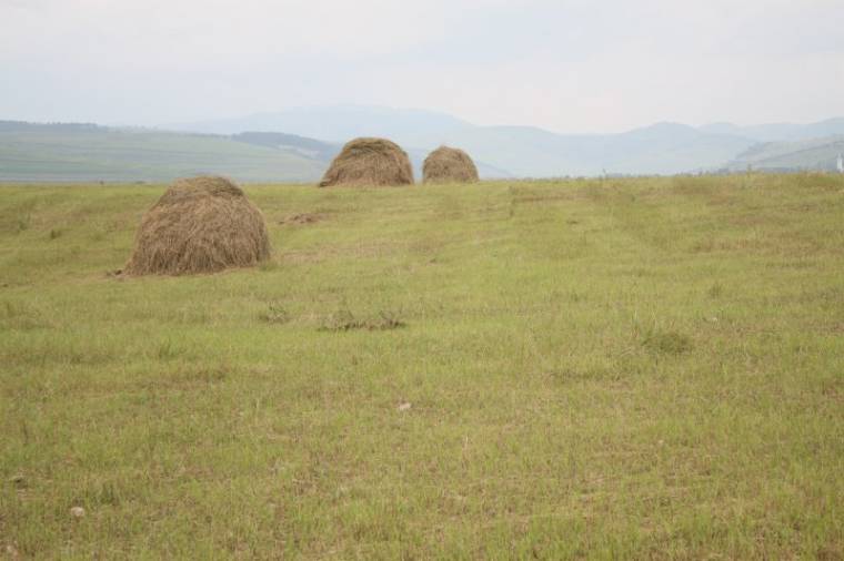 Még a széna is hasznavehetetlen, tüzet raknak alája