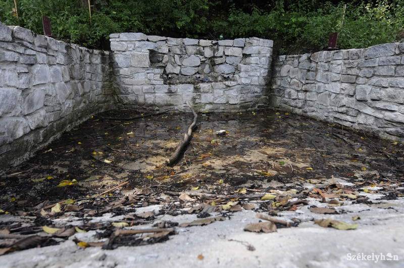 • Fotó: Kristo Robert