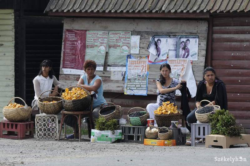 &bullet;  Fotó: Kristó Róbert