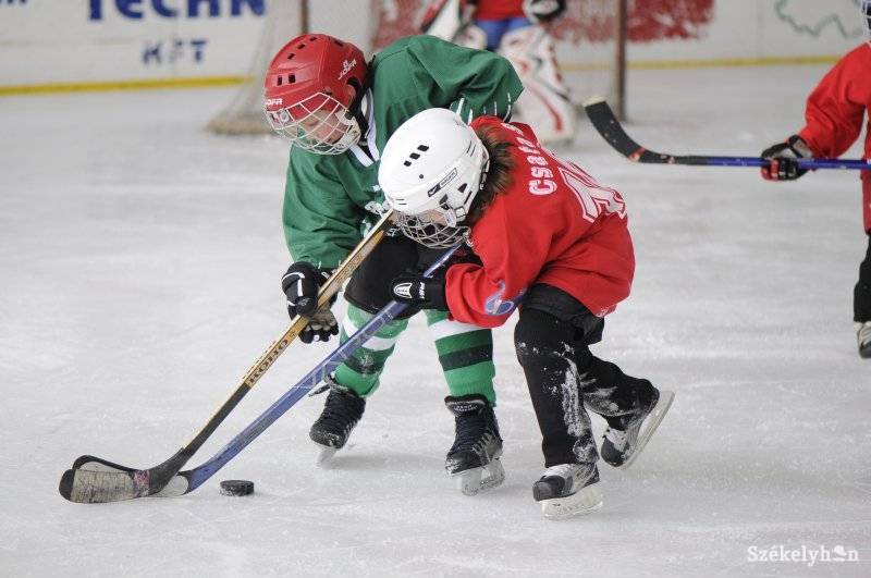 • Fotó: Kristó Róbert