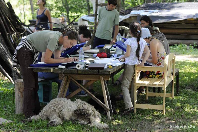 • Fotó: Kristó Róbert