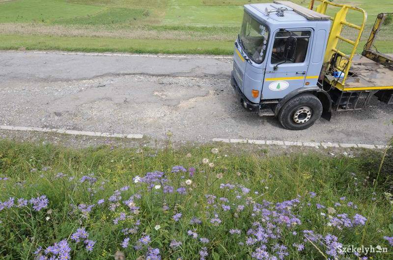 •  Fotó: Kristo Robert                       