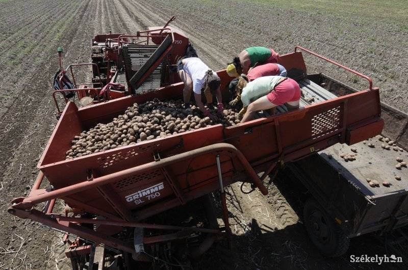 •  Fotó: Kristo Robert