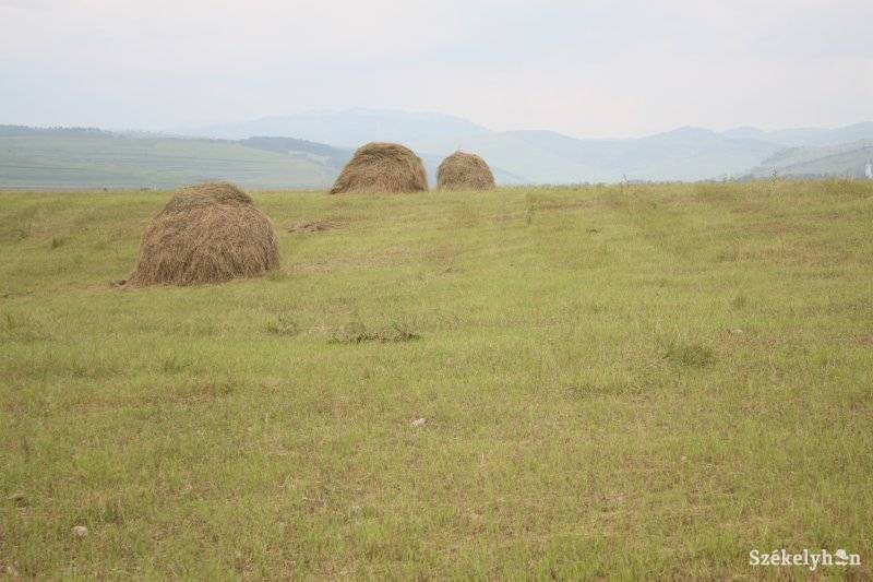 •  Fotó: Balázs B. Árpád