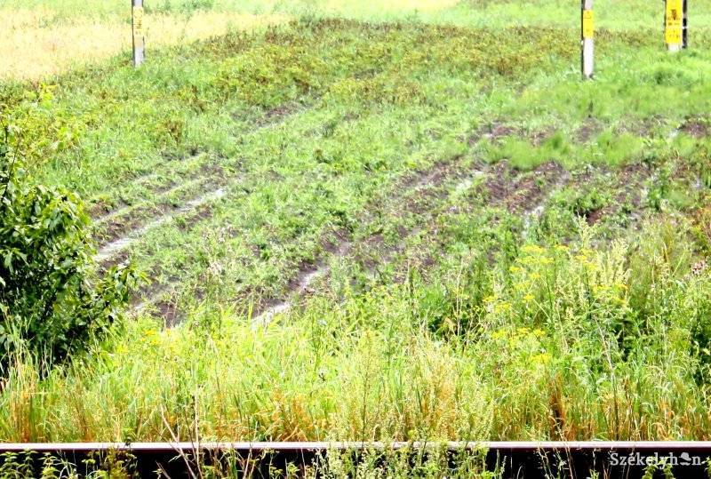 •  Fotó: Balázs B. Árpád