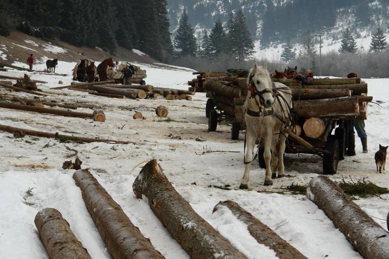 Célegyenesben a Sítájfutó Világhét