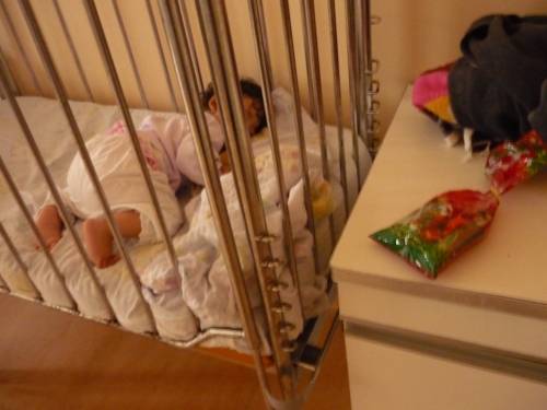 Ide születtem – történetek Székelyföldről és Magyarországról