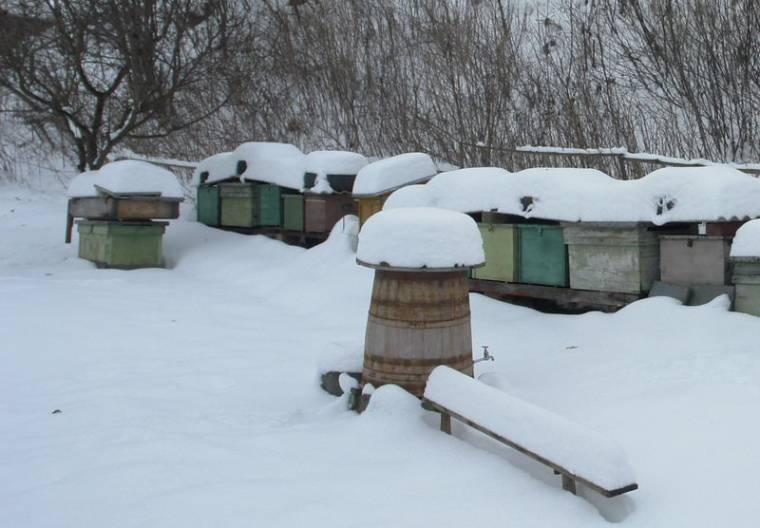 A szakmai fejlődést szolgálják a konferenciák