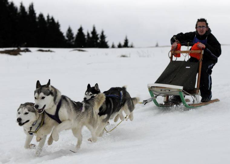 III. Kutyaszánhúzó verseny Tusnádfürdőn