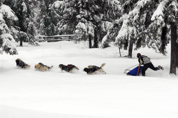 A Corvina Kupa második futamát elhalasztották