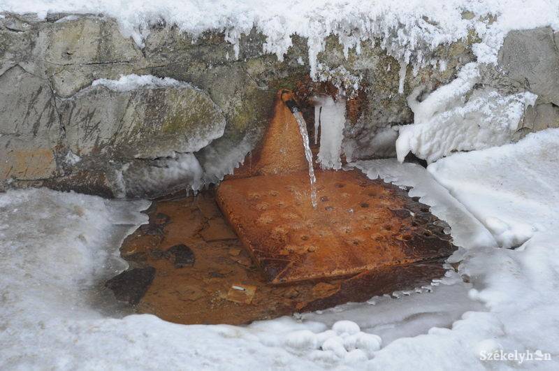 •  Fotó: Kristo Robert                       