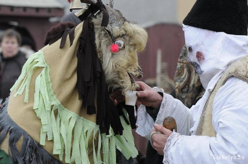 •  Fotó: Kristó Róbert