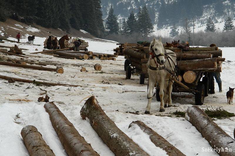 • Fotó: Kristó Róbert