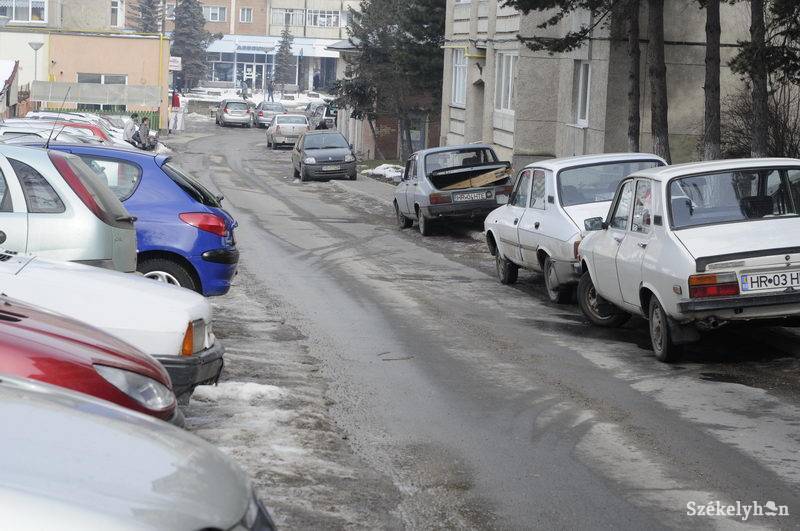 •  Fotó: Kristo Robert                       